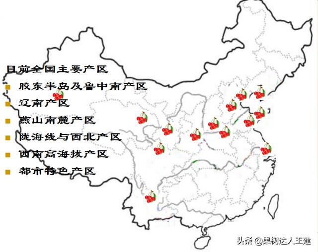 樱桃树适合在什么地方生长，如何进行病虫害防治 绿植养护 第2张