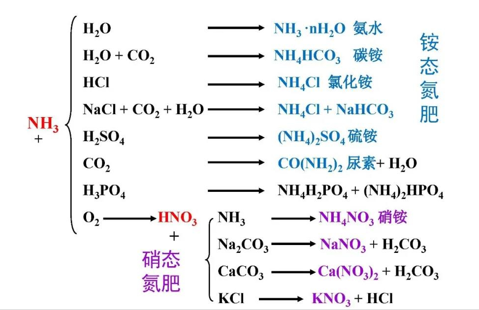 常见的氮肥有哪些？ 养花知识 第6张