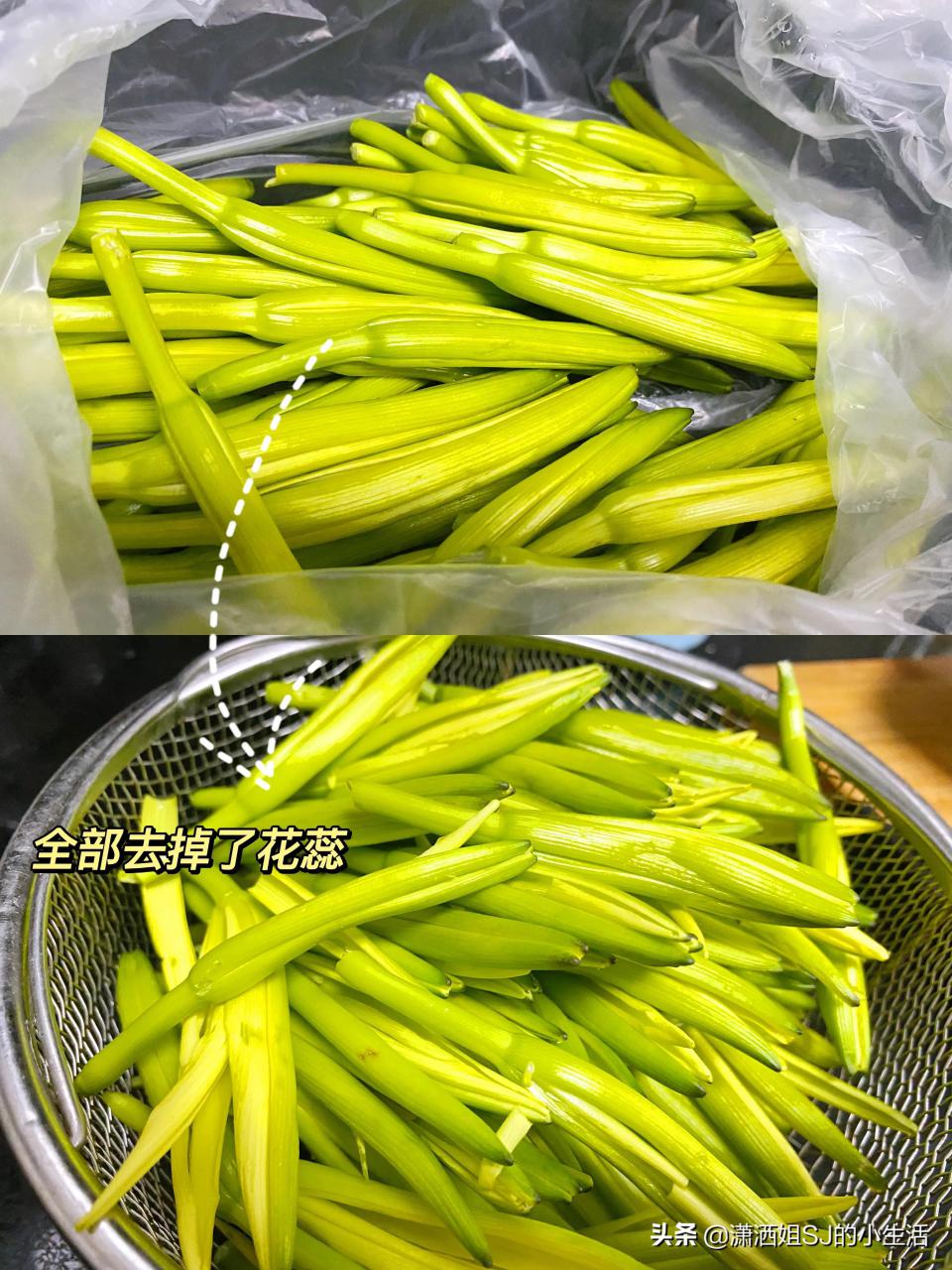 鲜黄花菜的功效与作用禁忌（鲜黄花菜食用做法分享） 植物与健康 第5张