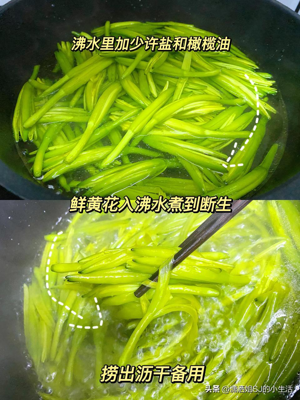 鲜黄花菜的功效与作用禁忌（鲜黄花菜食用做法分享） 植物与健康 第6张