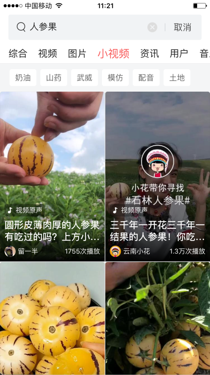 人参果种植条件和方法（人参果栽培技术与管理） 绿植养护 第4张