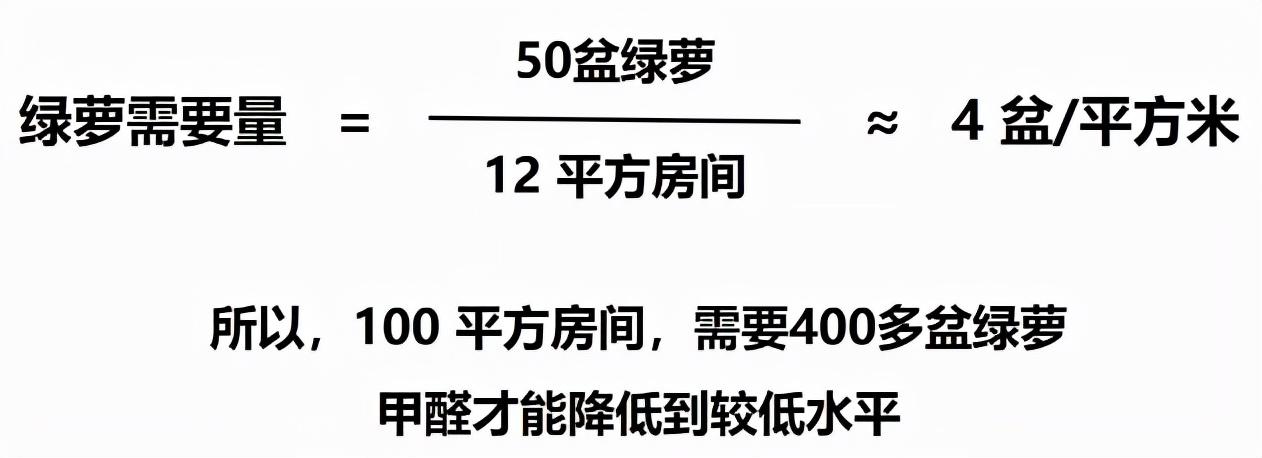 绿萝能吸收甲醛吗（绿萝除甲醛真的有效果吗） 绿植养护 第6张