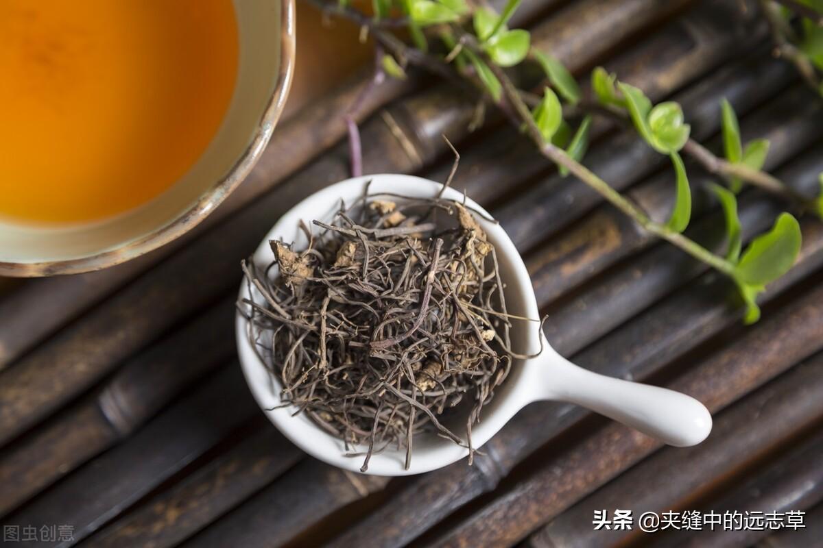 仙茅的功效与作用（仙茅的药用价值） 植物与健康 第10张