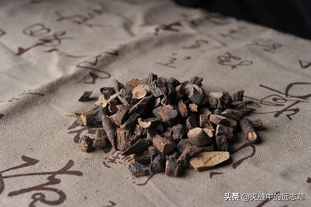 仙茅的功效与作用（仙茅的药用价值） 植物与健康 第6张