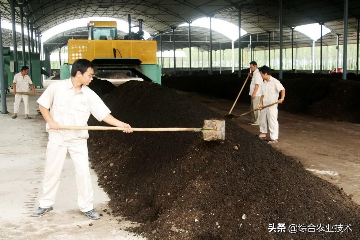 鸡粪变有机肥最简单处理方法（鸡粪怎么发酵成有机肥） 养花知识 第2张