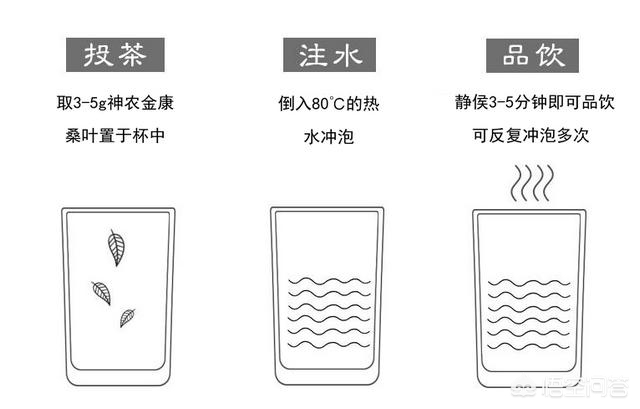 桑叶长什么样子，桑叶可以食用吗？ 绿植养护 第6张