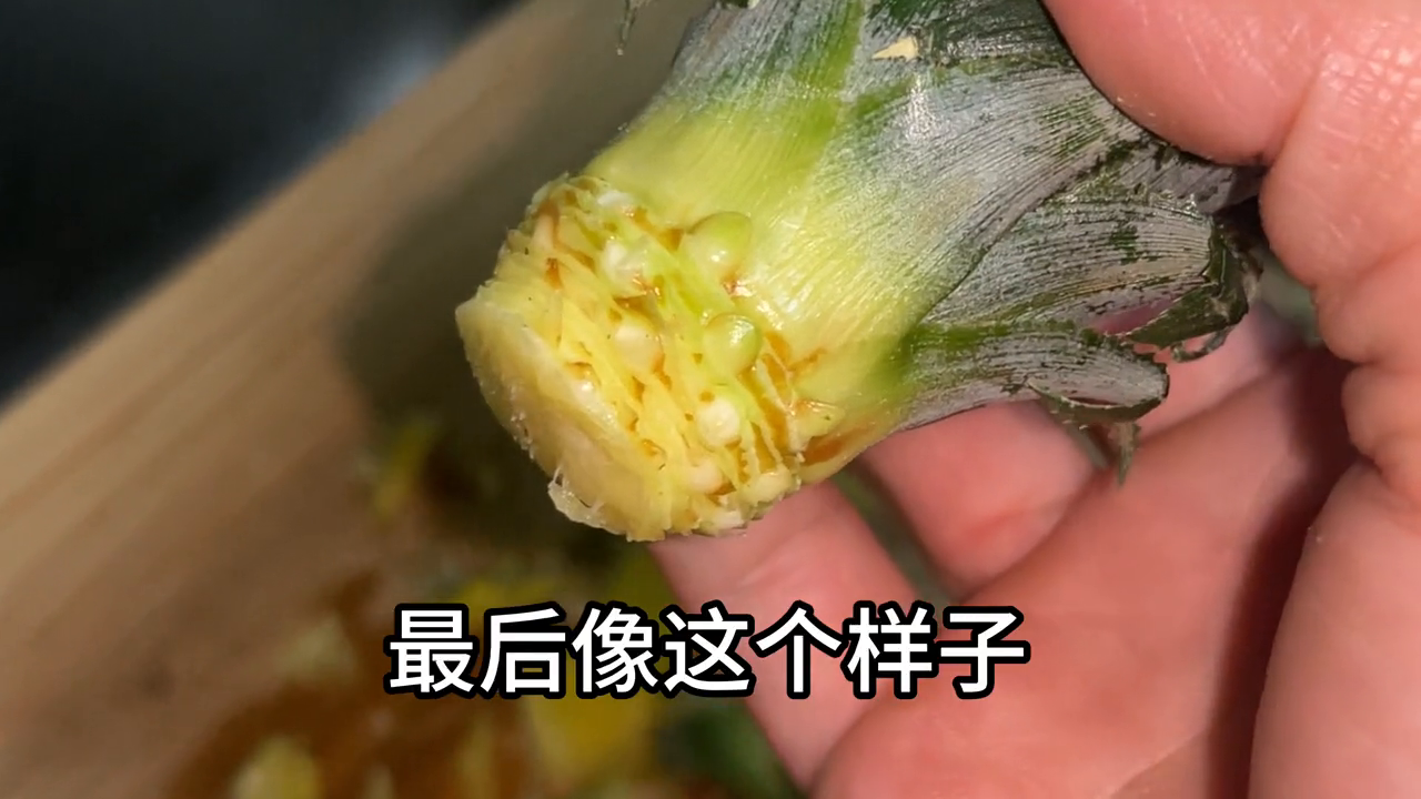 菠萝怎么种植方法，菠萝盆栽种植方法图解 绿植养护 第2张