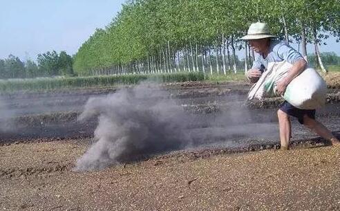 草木灰都有哪些用途，草木灰适合养什么植物？ 养花知识 第3张